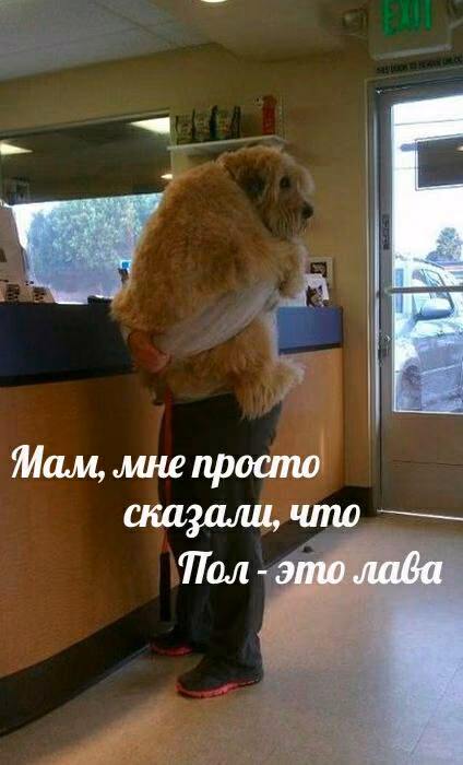 14758a1f09591a44e31a78fbe2c64436.avif