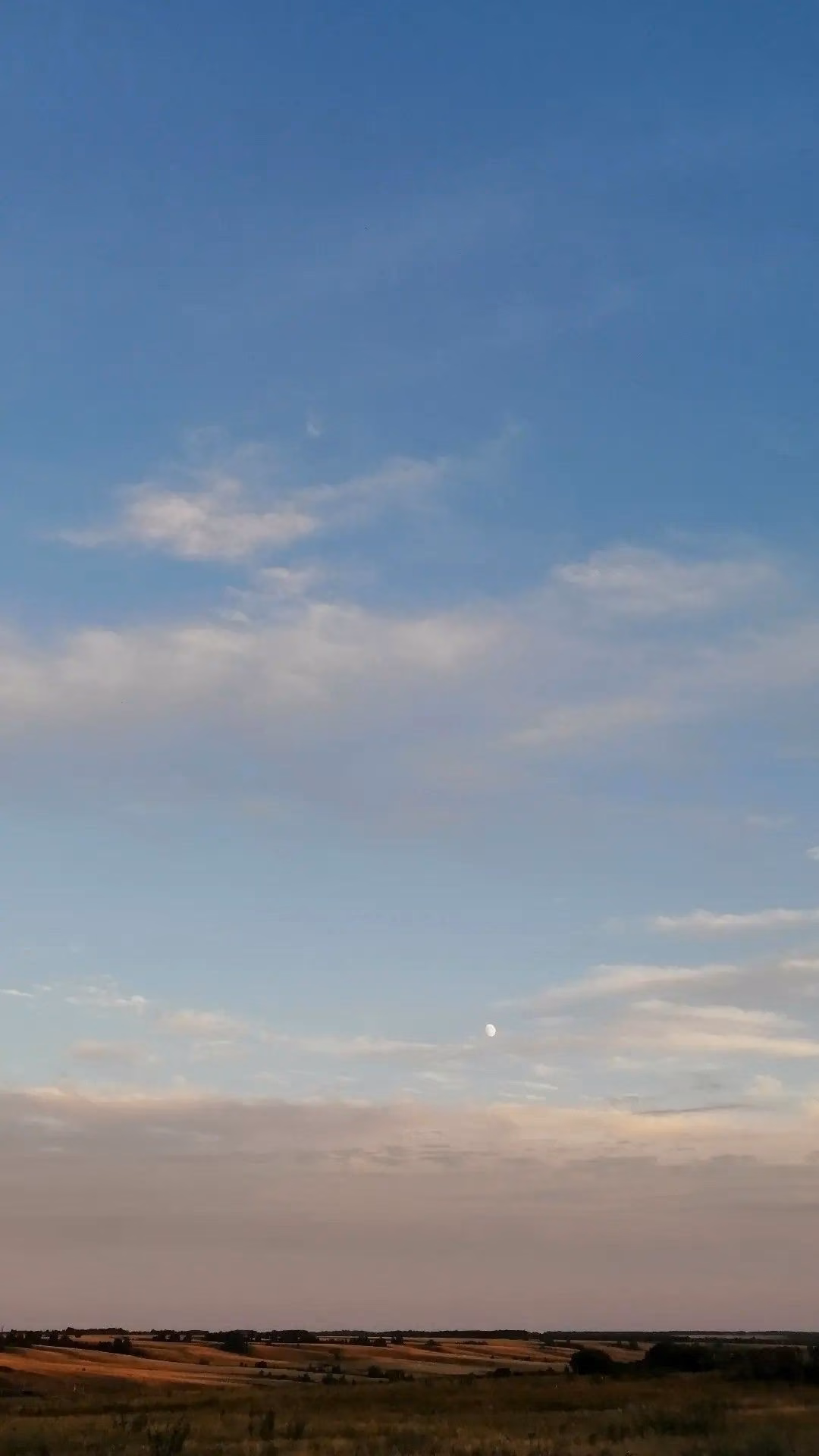 14916b7024adb936389a30f467d0cb70.jpg