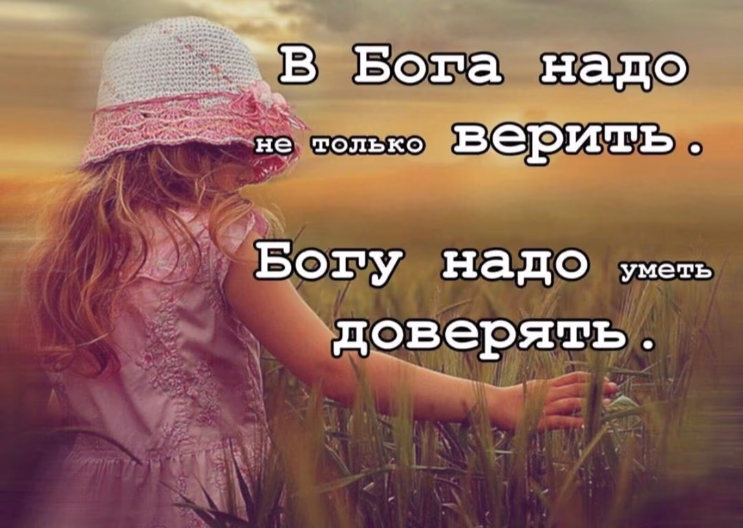14927d74e3bb216cc5c72b8116fcd3f3.jpg