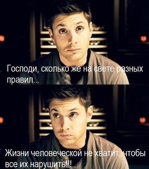 14a72c7226617d55e5ef13f8633654c5.avif
