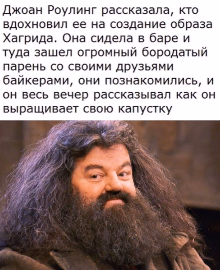 14ca40042ec71da29c16d9051b16ae3e.avif