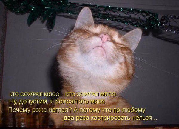 14d504045f5ff7b8d592030d9b4f8b9a.avif