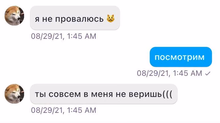 14e02e2caac5bf469b08d8762673b2e3.avif