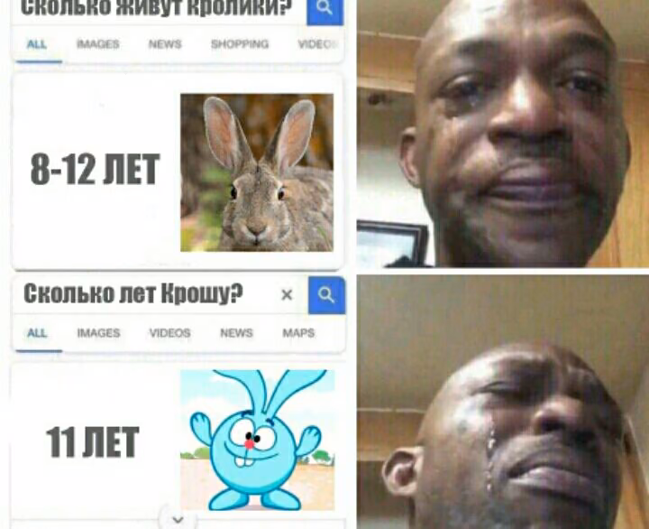 14e7d0daceb1084939d6b69bdf180952.avif