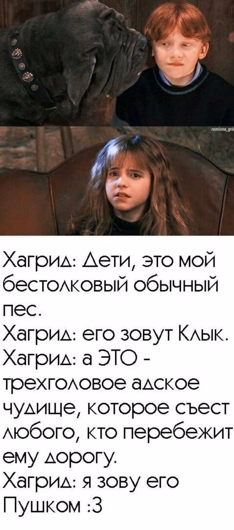 14f83355ccdecd7d28fd84964533dce7.avif