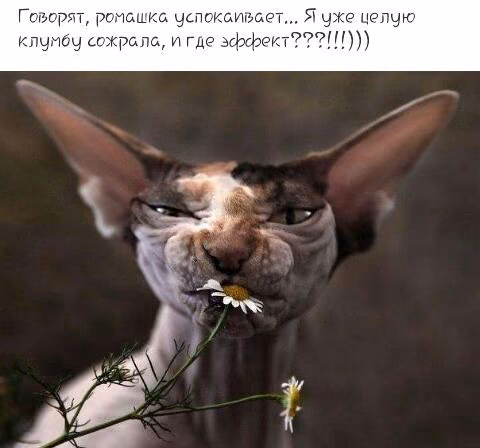 15008f525c0b017ee3a12d10c20e0adc.jpg