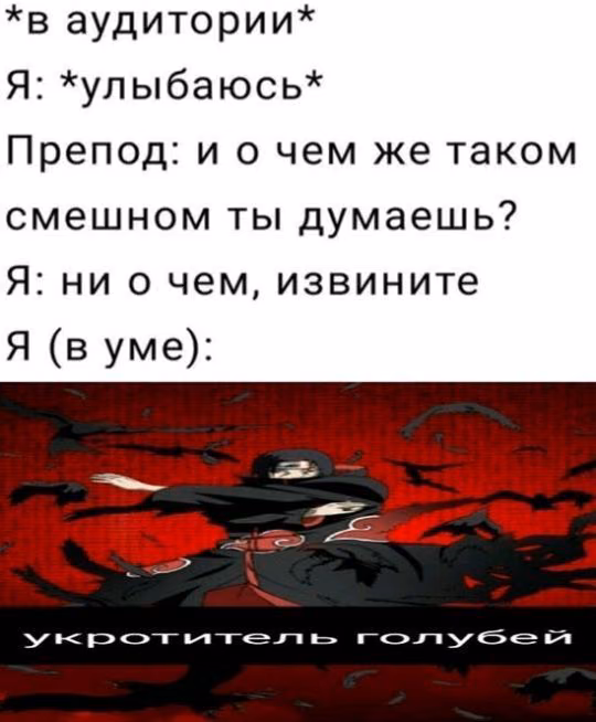 150fa7976d32bbeb47075fe36a05495c.avif