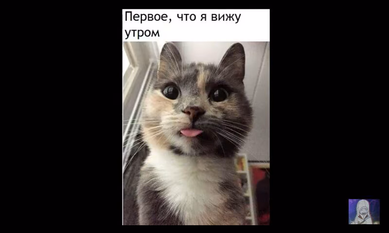 153d27a83ffa48d8f80e7a49bb885f7a.jpg