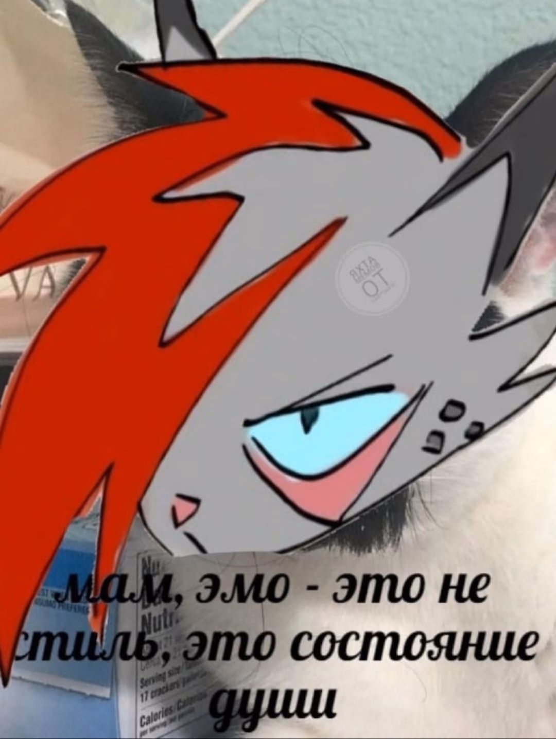 154166272a93c7d02a63e98679533d5e.avif