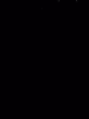 1549e2b108e494e2ed4a9dbde35facd5.jpg