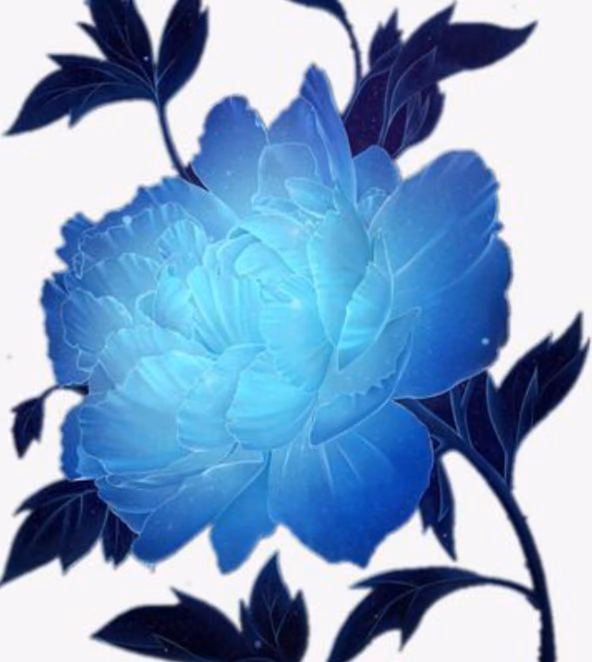 15645adf0a54fa146f10fc82a9ca2bd4.avif