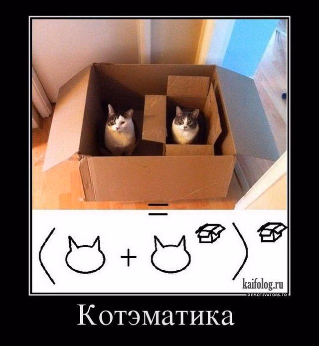 156c3f0f0e00191b963f339854437e56.avif