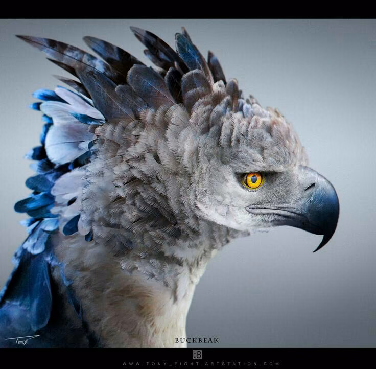 1576b10789b023db36b62372d267ed36.avif