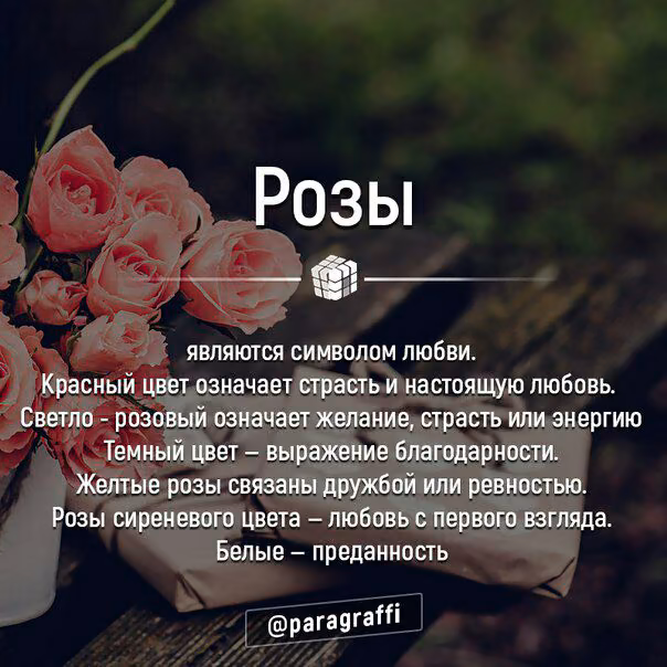 1576d6a9a3c9b67f9a71e55cd9203790.jpg