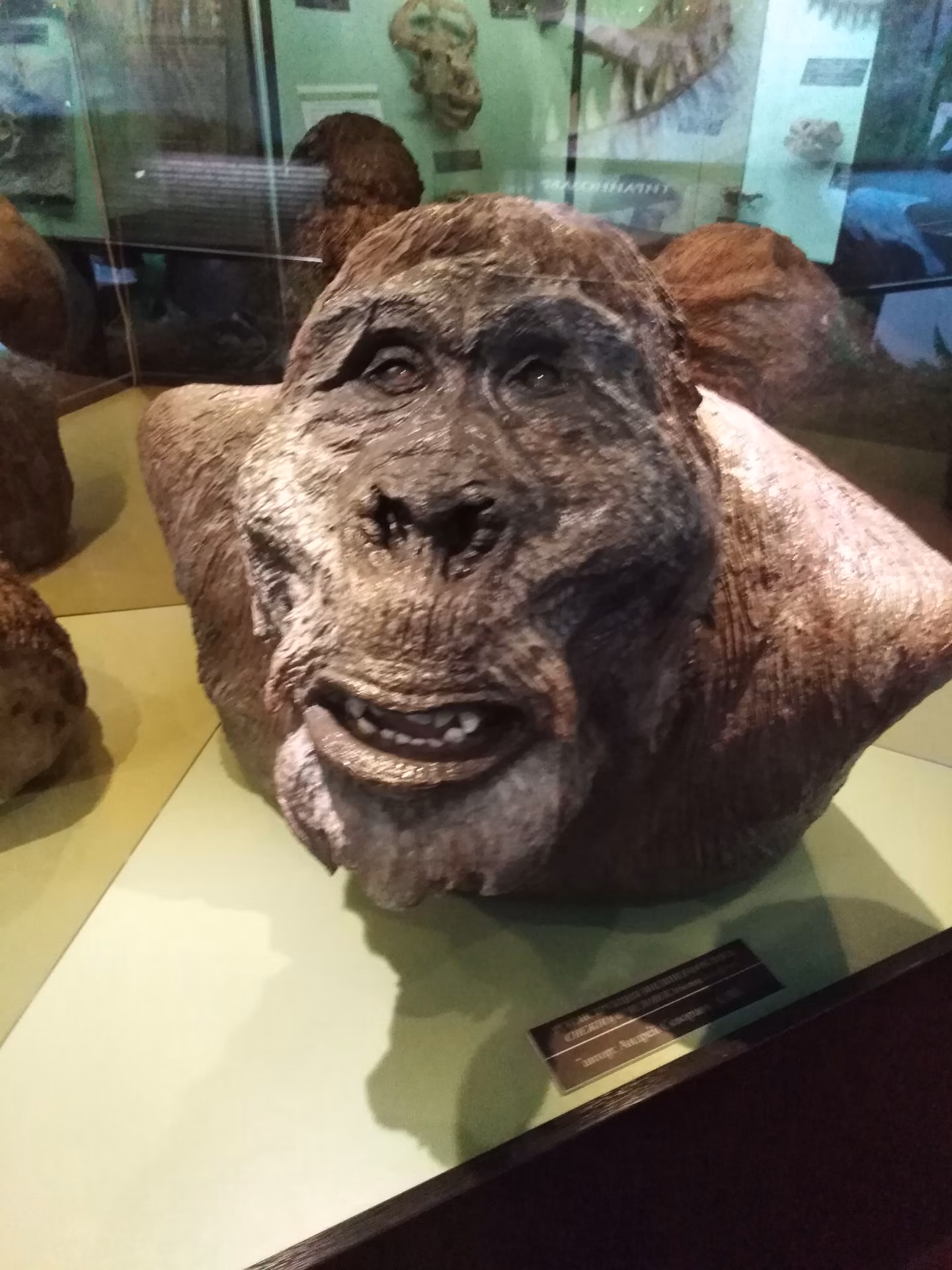 15b82be54d35fd06b8c7eedd4d77b64f.jpg
