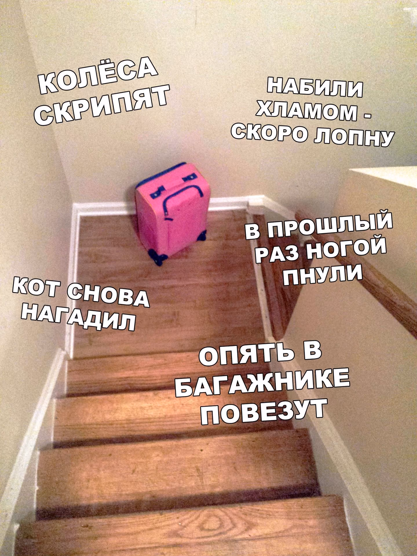 15be6cff1030e287d3a0423bb393643d.jpg