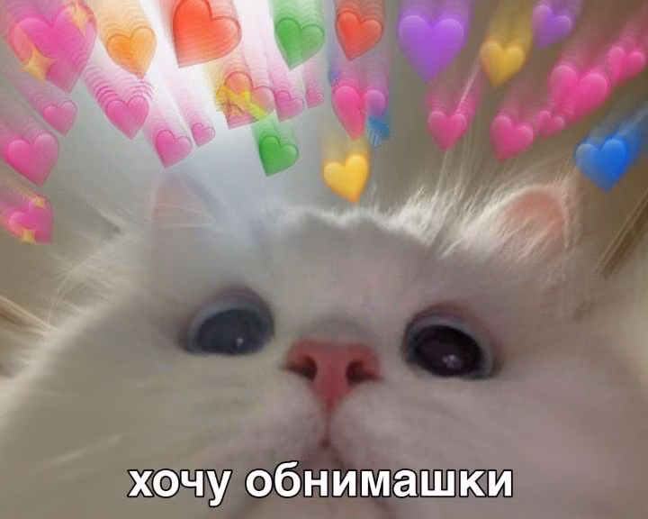 15c1c0673b474601b0be8b5b81f84c42.jpg
