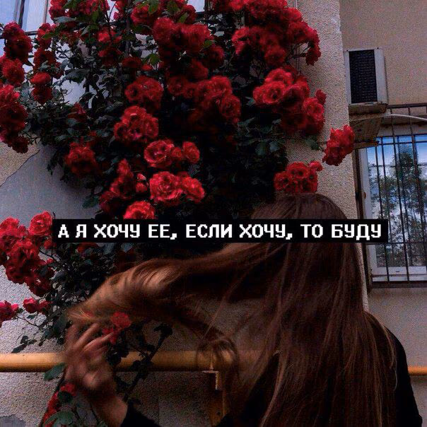 15d13da4d3007cc1295318119e14f300.jpg