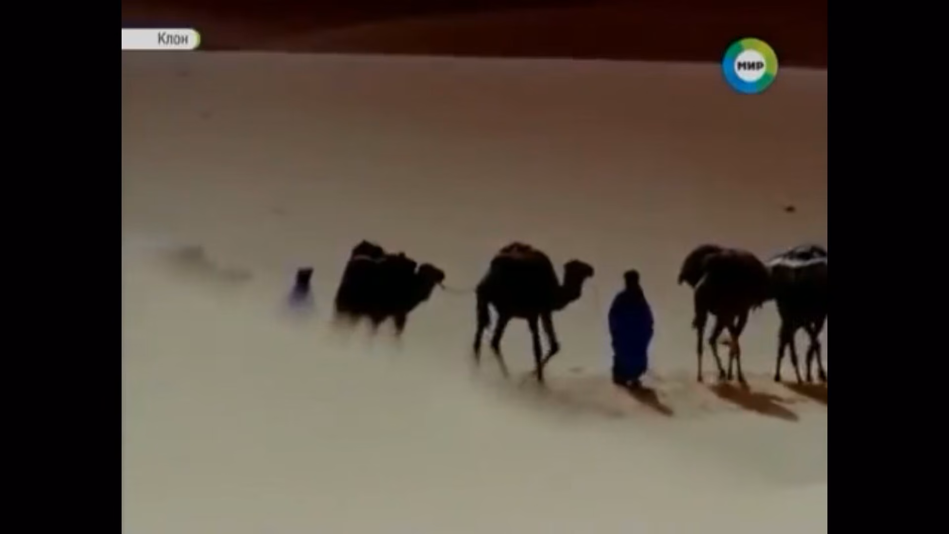15d35f7b9fb4a2a6498b28ca29e36bdf.jpg