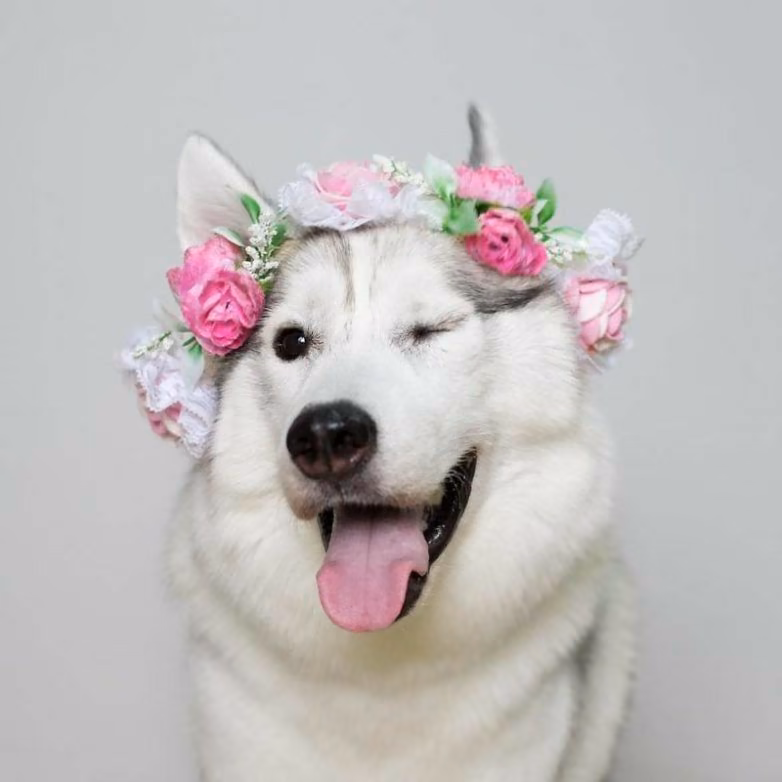 15d81ad24197e3a592112b9599d55bc4.jpg
