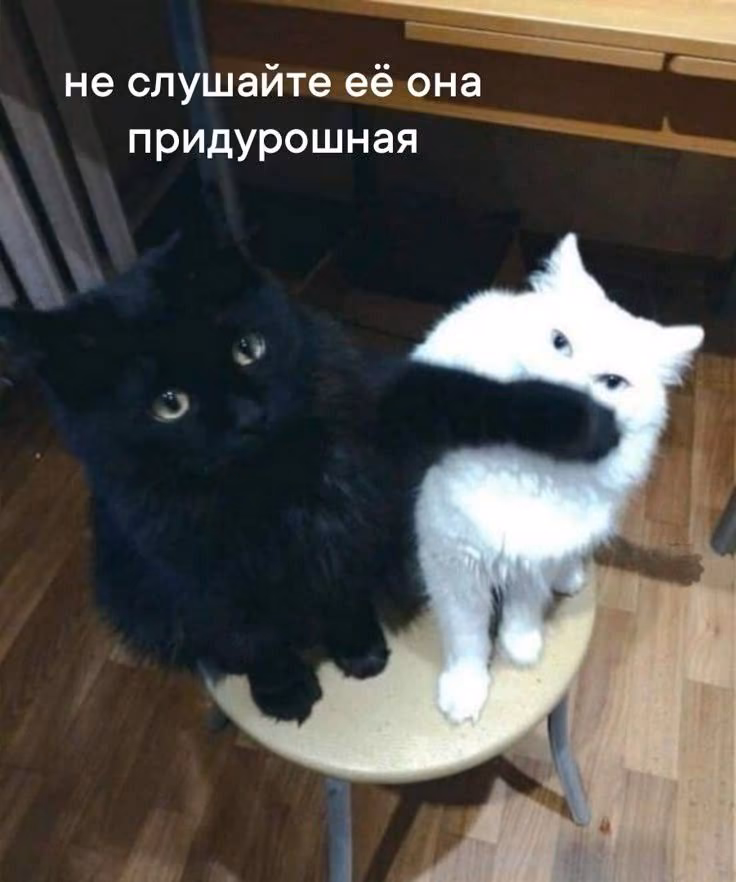 15e07c4ea609115b05a5793ef9a8ae5f.avif