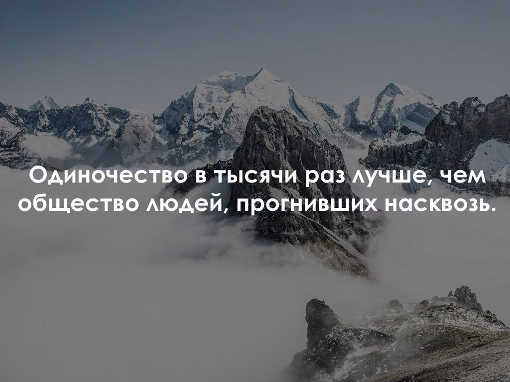 15e57775e853ff95bf97dea3d7d1d915.avif