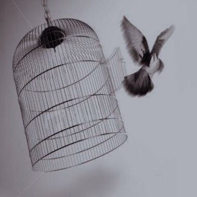 15eb5450e650bfb3e29589712d8de5a5.avif