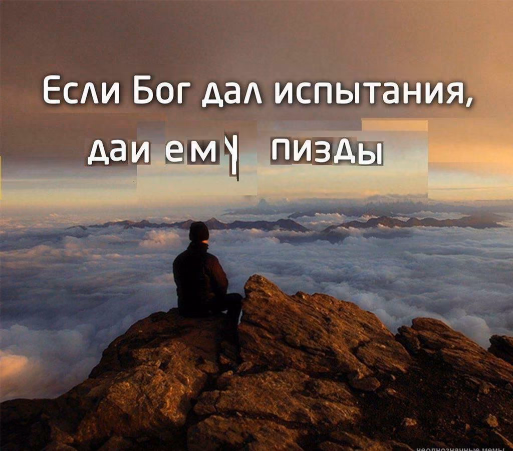 15f110037989fa660171a50ec0d6821b.avif