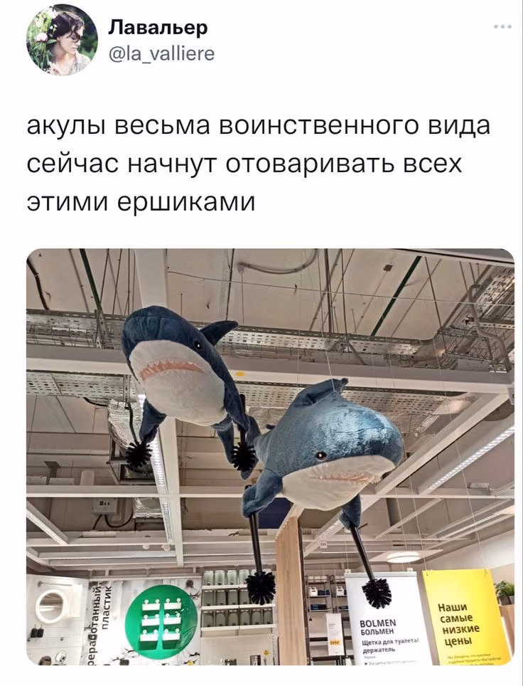 15f755b402b91b83bd874f5481193e6b.avif