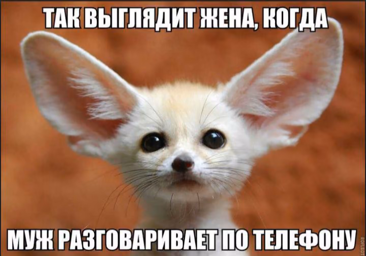 15fa30a839bfd786dd2c05947a1c7bbf.avif