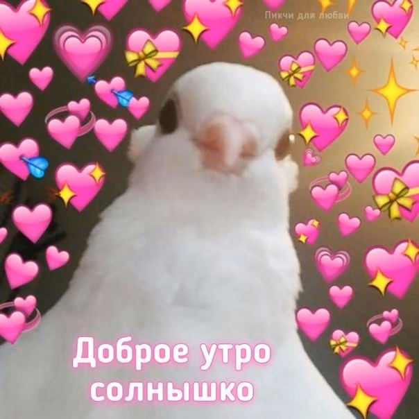 16116009748094610446bd3651ed031f.jpg