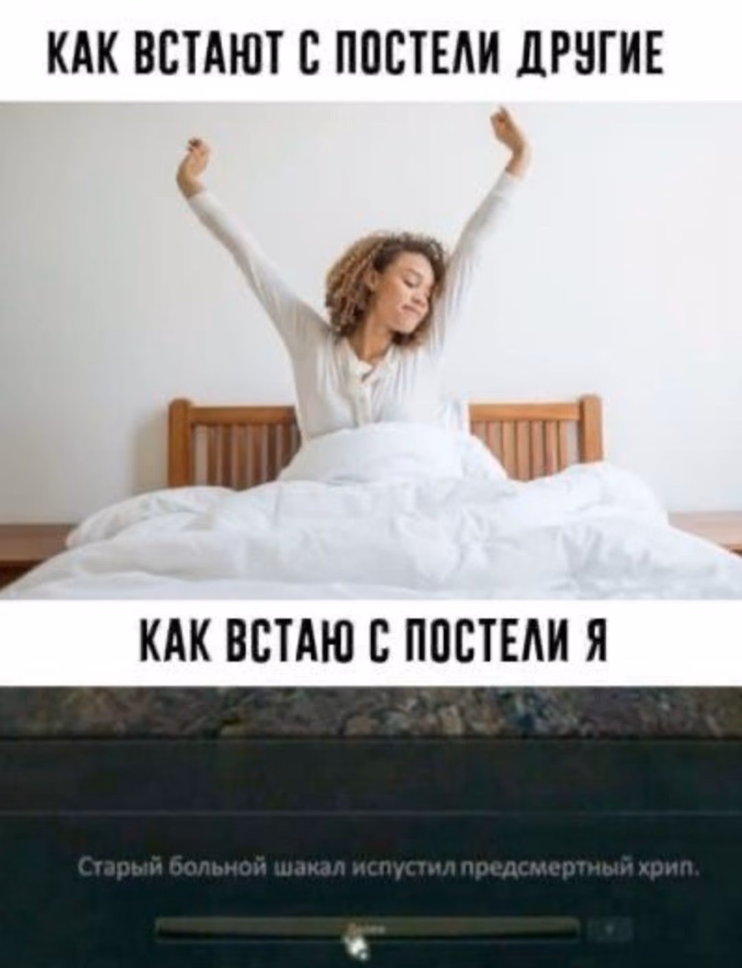 16251225114e7600115916f5de65ca1b.avif