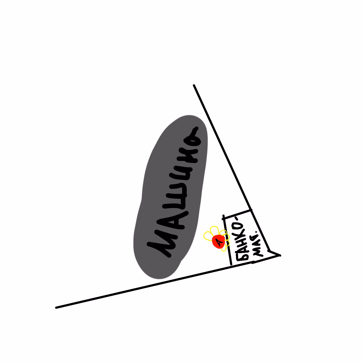 162ad196c55659d8d31ea5a1ae72ece6.avif