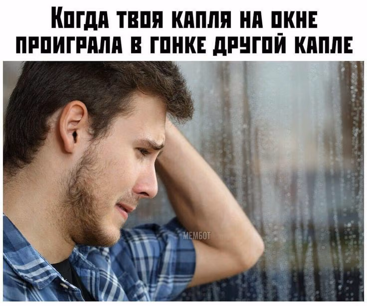 162c72cf021cadc876992a44d2e5eae7.jpg