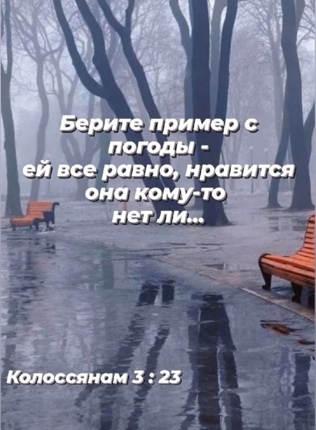 16452f38261cbb1cf497598998c44b9e.jpg