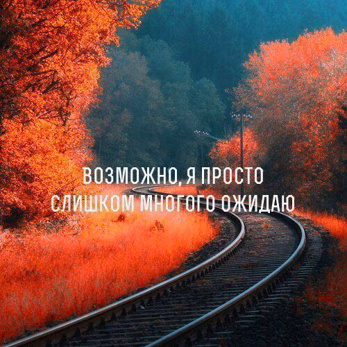 165850fcab9294881ad2929788543205.avif