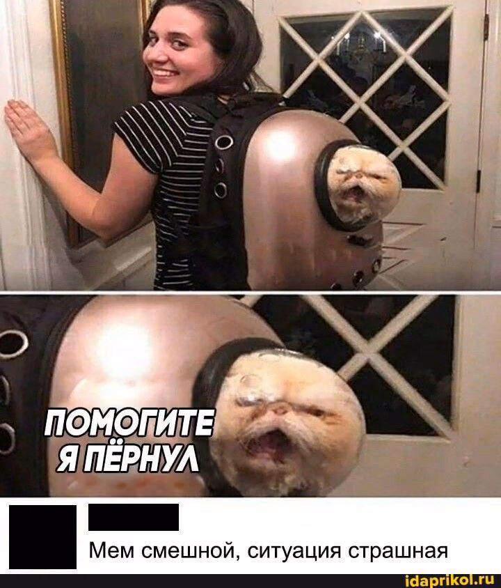 8a0e646e082409f6adfaf332677bd3ed.jpg