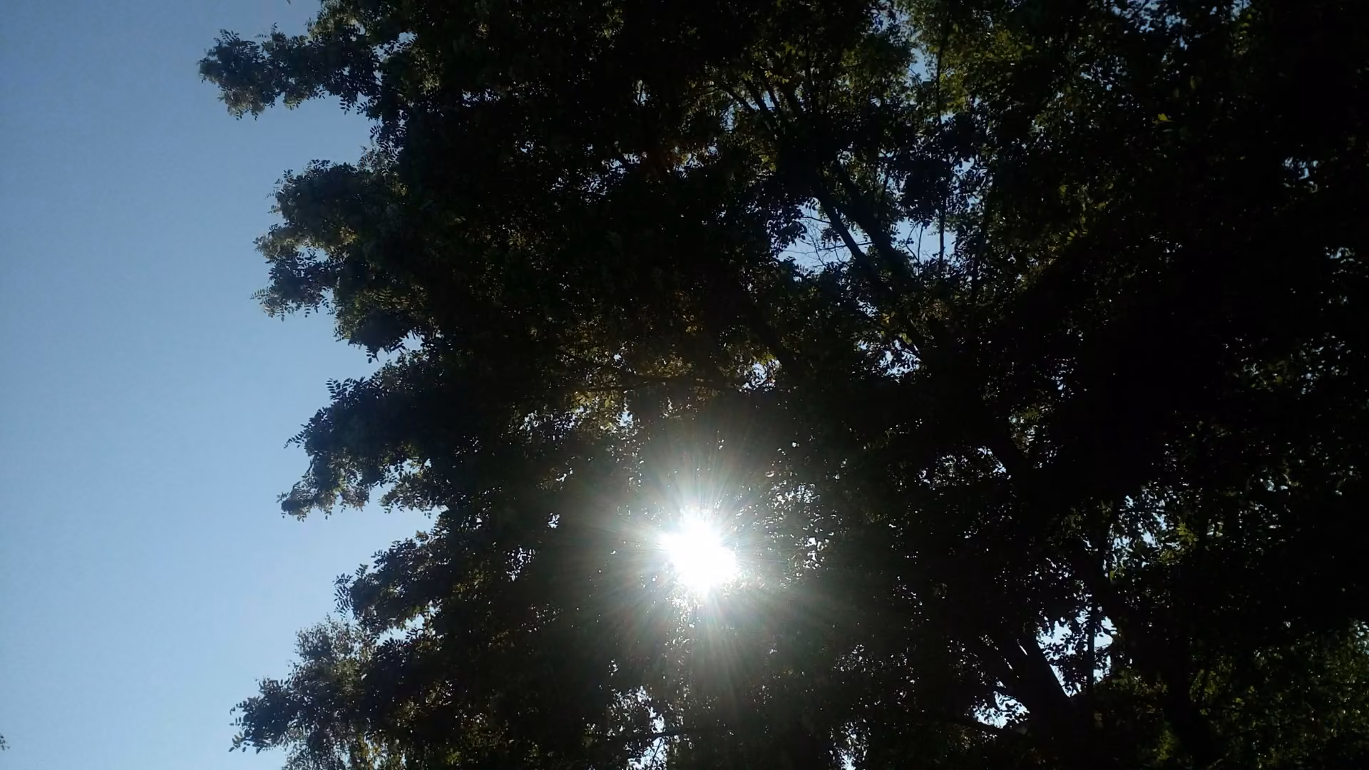 167538a981817f77973edda915cdc238.jpg