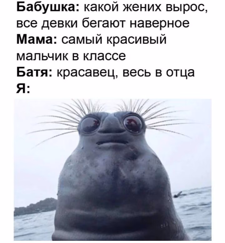168c555fb77d40970fd19c45446a13a3.jpg