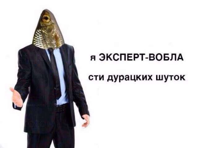 16930f2d4068a25acc3dfcfb074cc939.avif