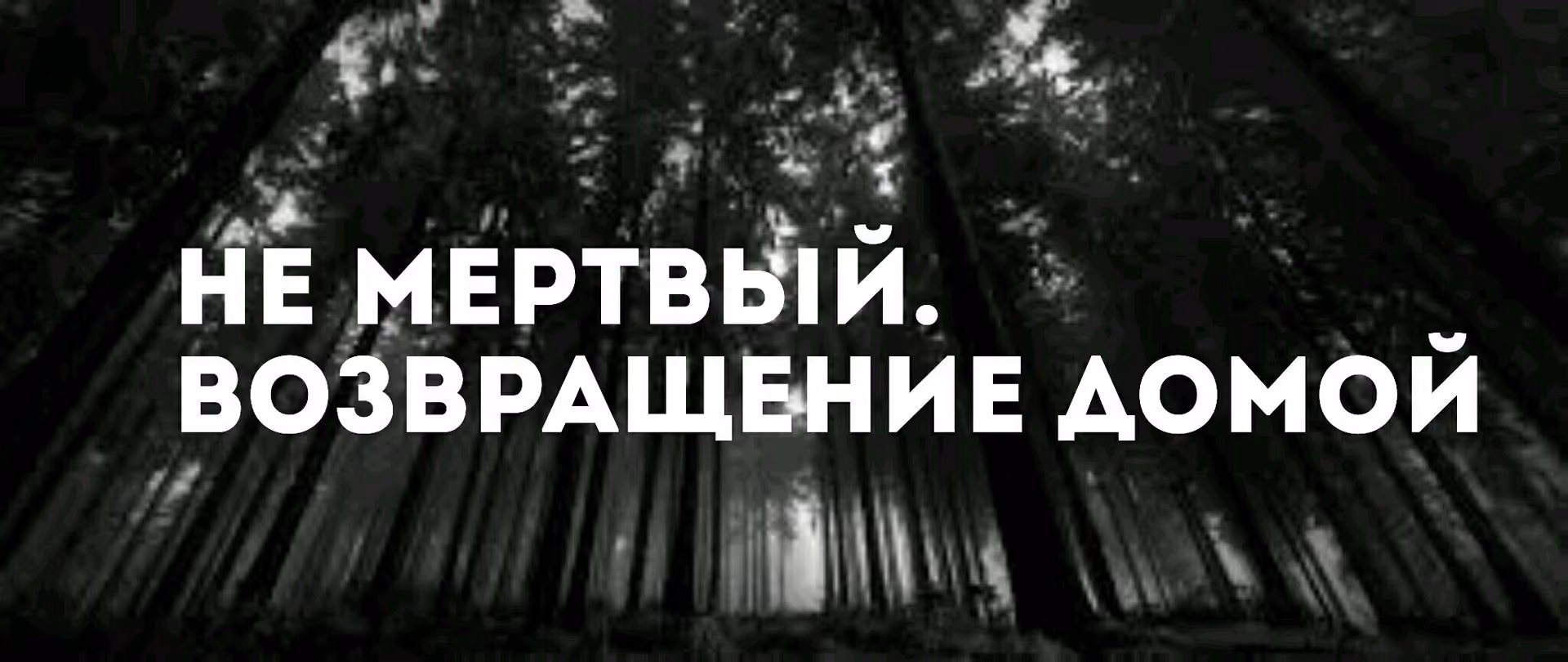 16940c65fdacbda06295118235e47d9b.jpg