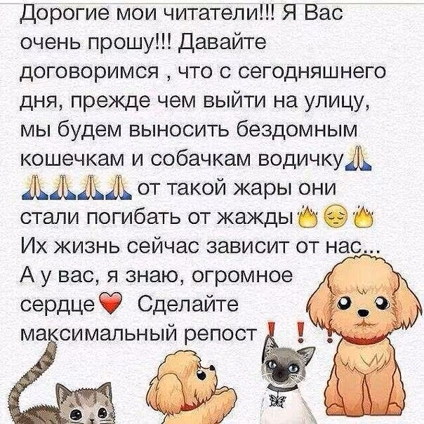 1696e8a2fb0b2251011554ad84345f6d.jpg