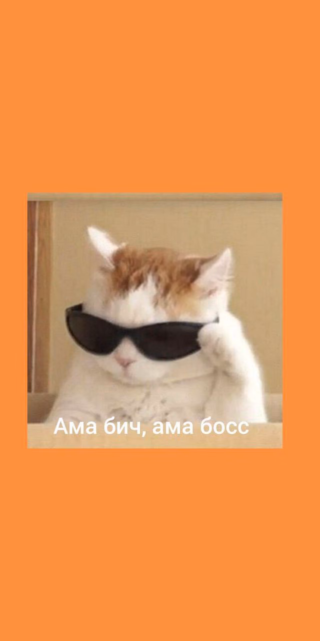 169c39cb19865d49773b254ac2a04785.jpg