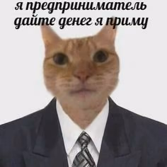 169c73eb10f559aa0c83f521a8e30e4f.avif