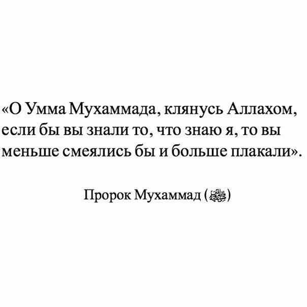 16b8266ae847c6602da2d731fd015e78.avif