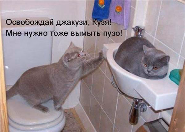 16bffcb5c57df8d4771193346370642b.jpg