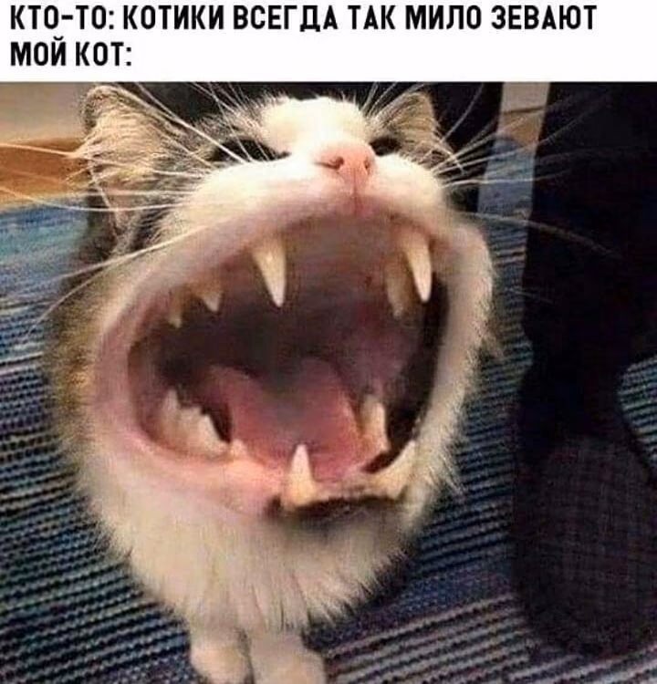 16d3bf98d2636718fb6c3ee1747ad6dd.avif