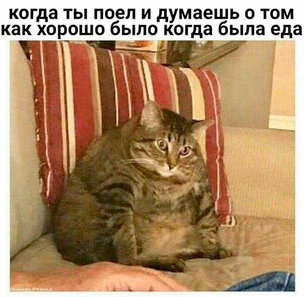 16d5584b149935c34024cb4f81d4e321.jpg