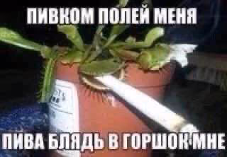 16e33cd9e477d04fa4cd382b65a26a8d.jpg