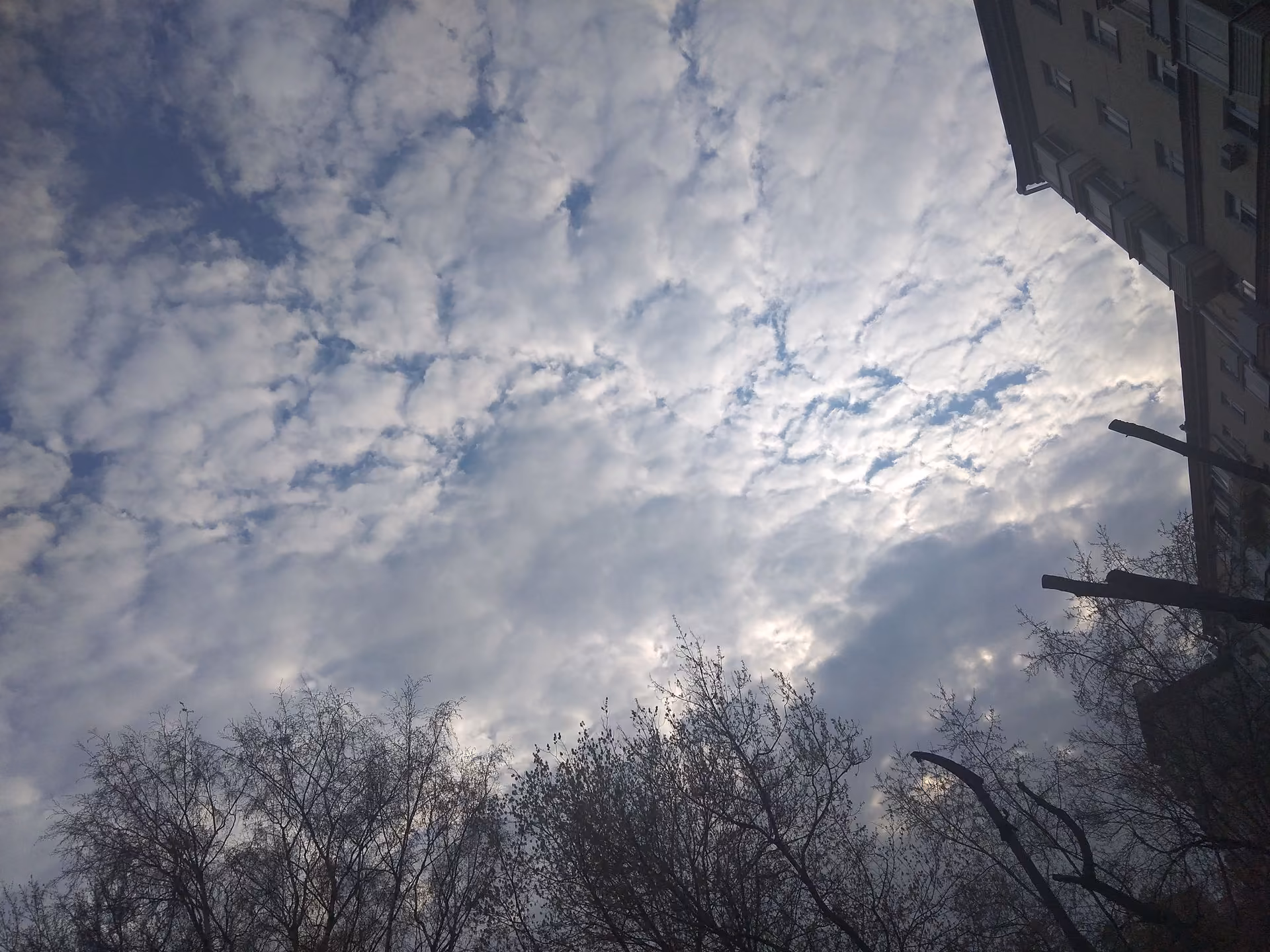 16f3033e03943bec89737451993a433d.avif
